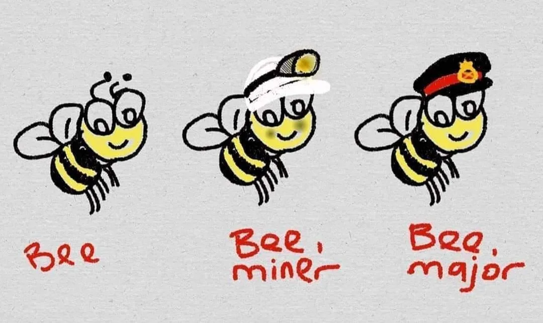 bee meme