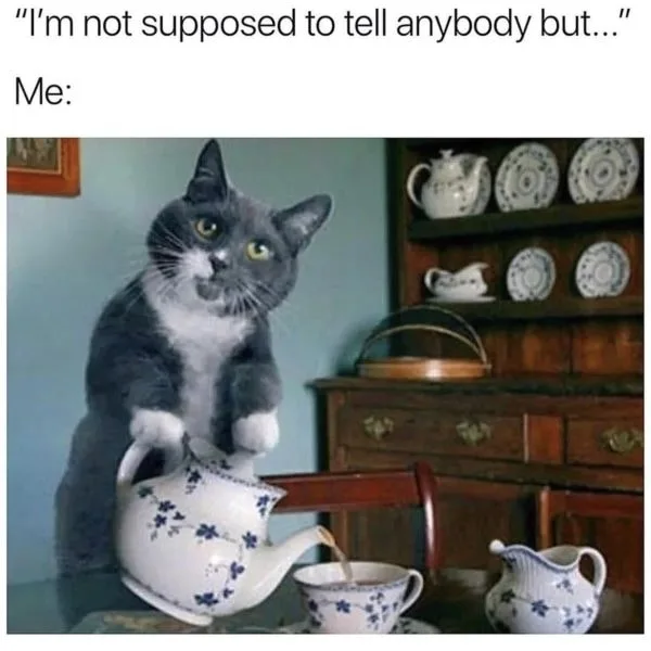 gossip meme