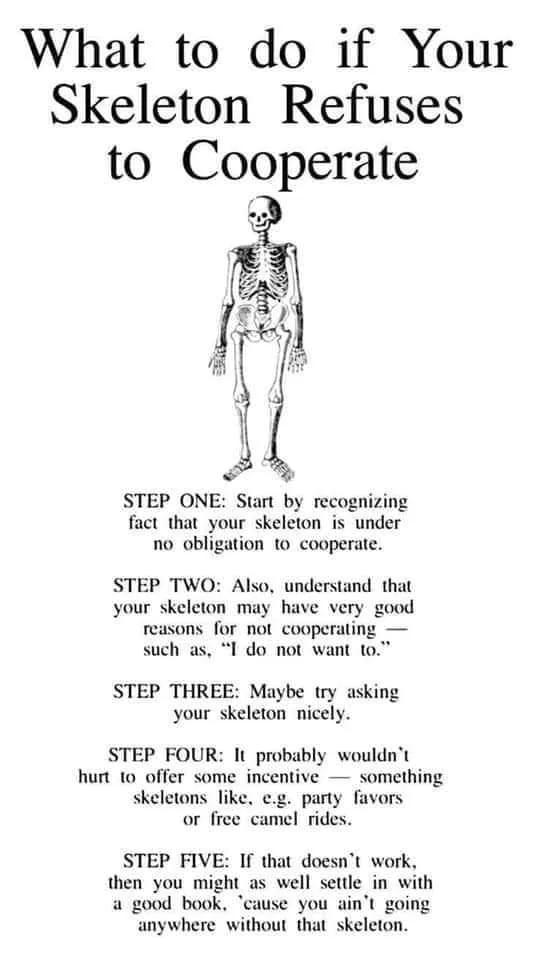 skeleton meme