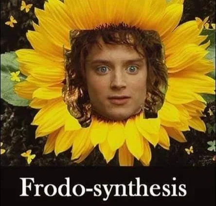 photosynthesis meme