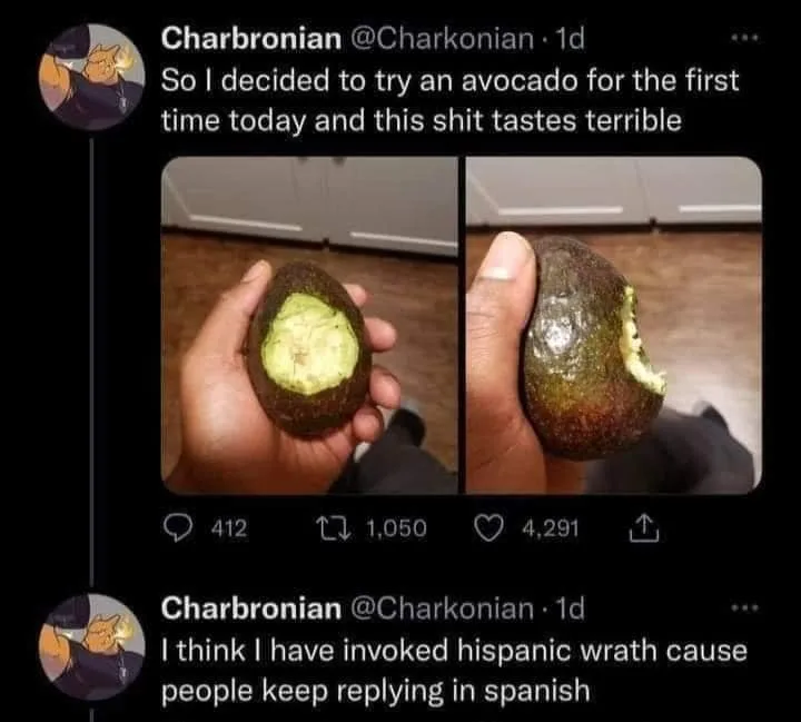 avocado meme