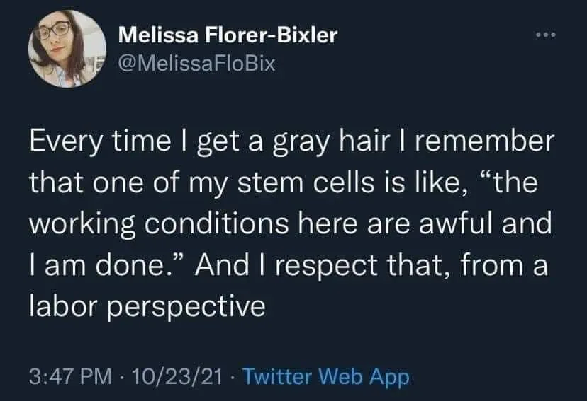gray hair meme