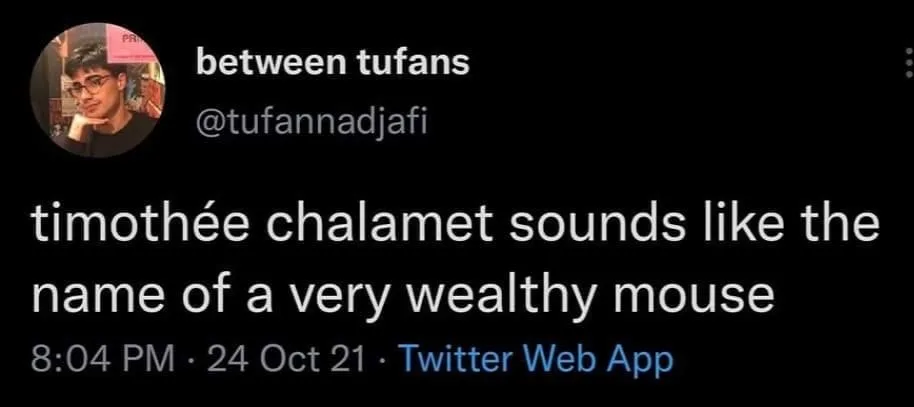 Timothee Chalamet meme
