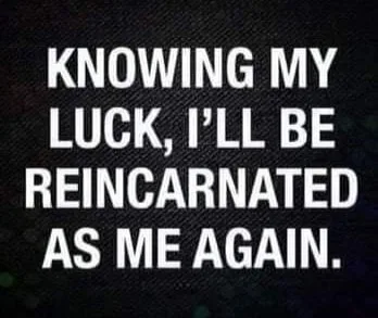 reincarnation meme