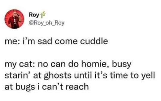 cuddling meme