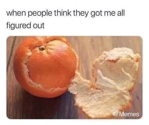understanding someone meme