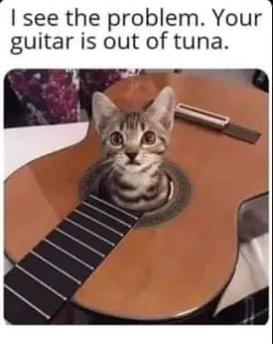 guitar meme