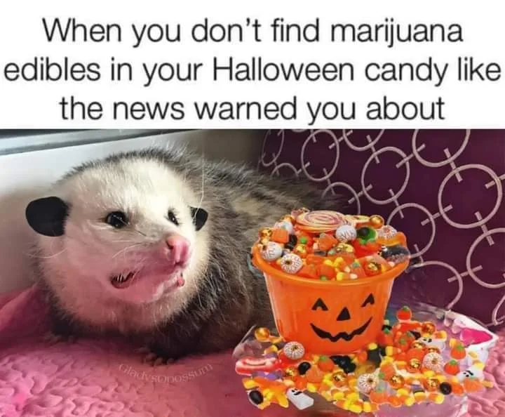 Halloween candy meme