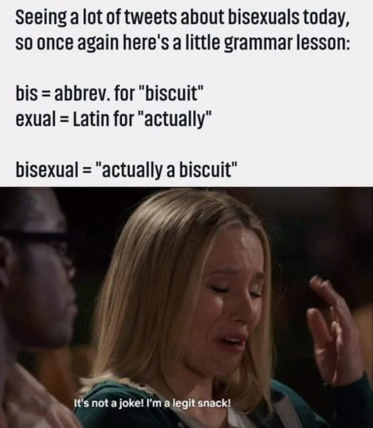bisexuality meme