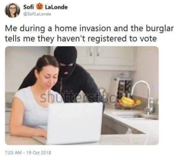 voting meme