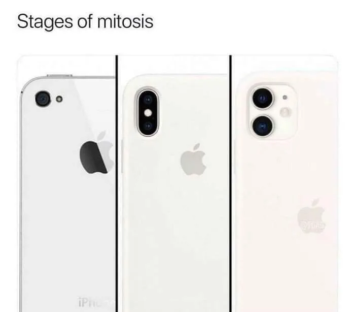mitosis meme