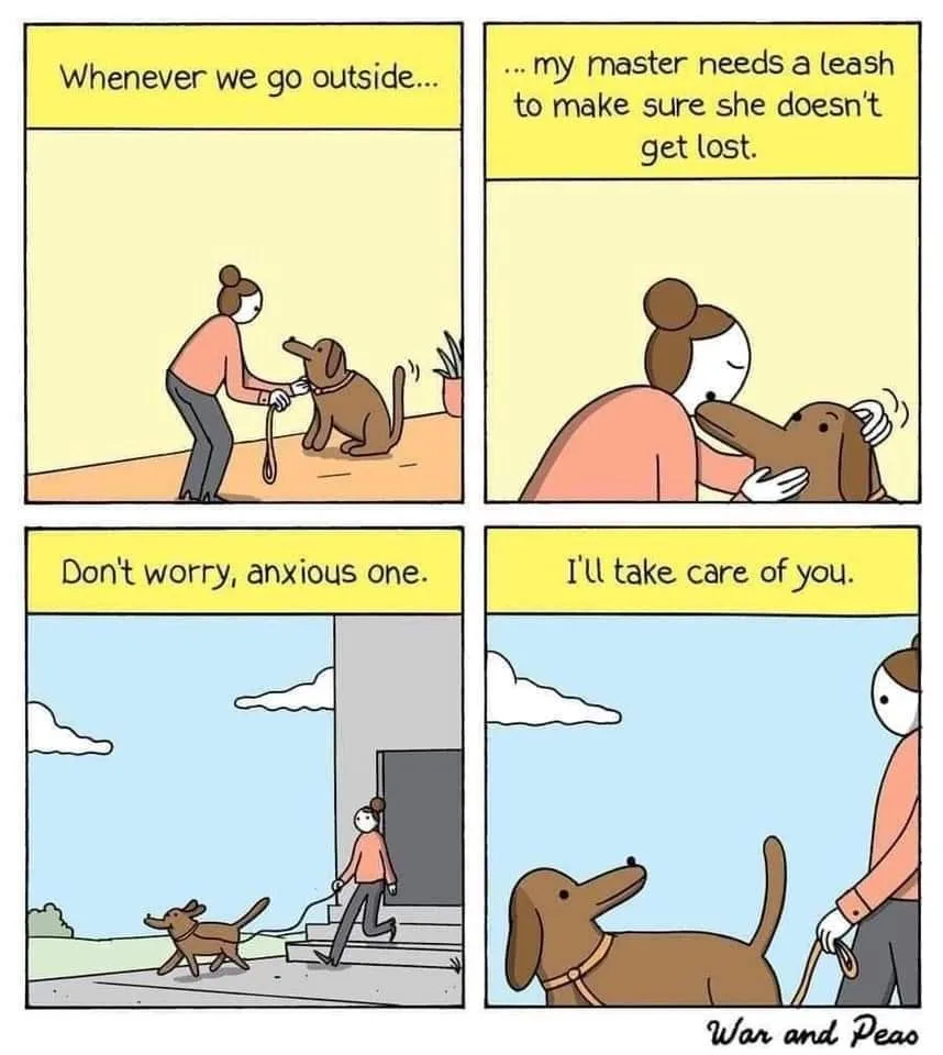 leash meme