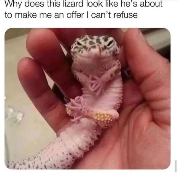 lizard meme