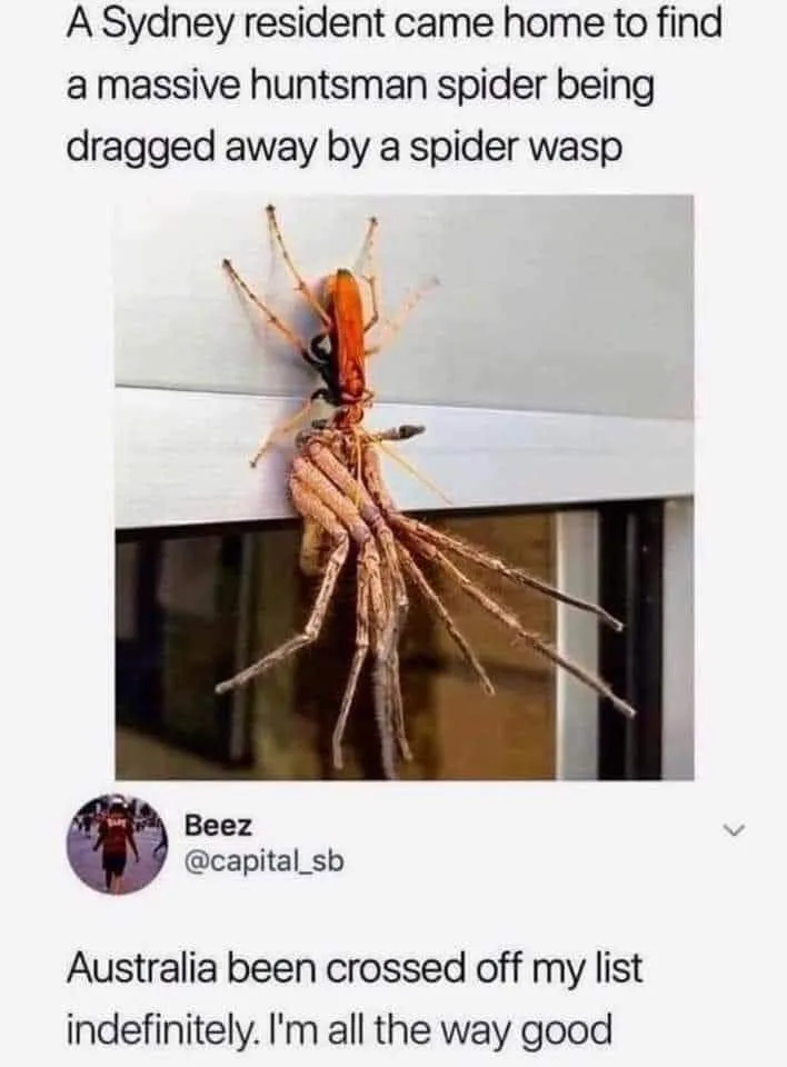 Australia meme