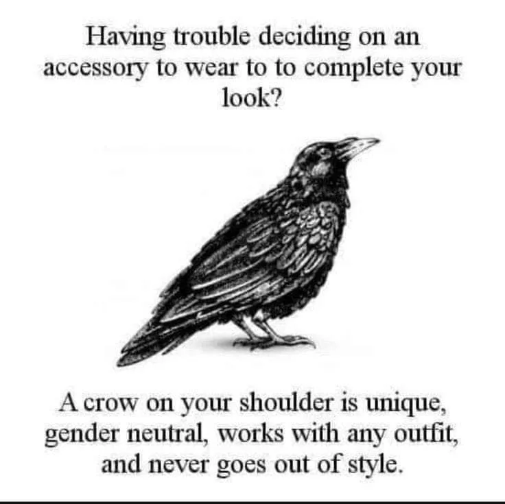 crow meme
