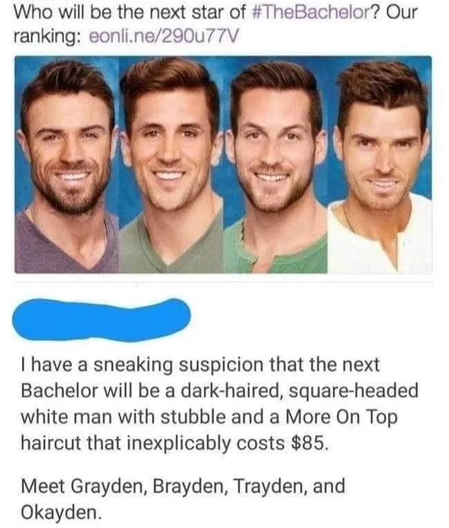 bachelor meme