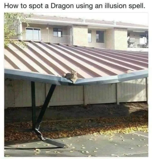 dragon meme