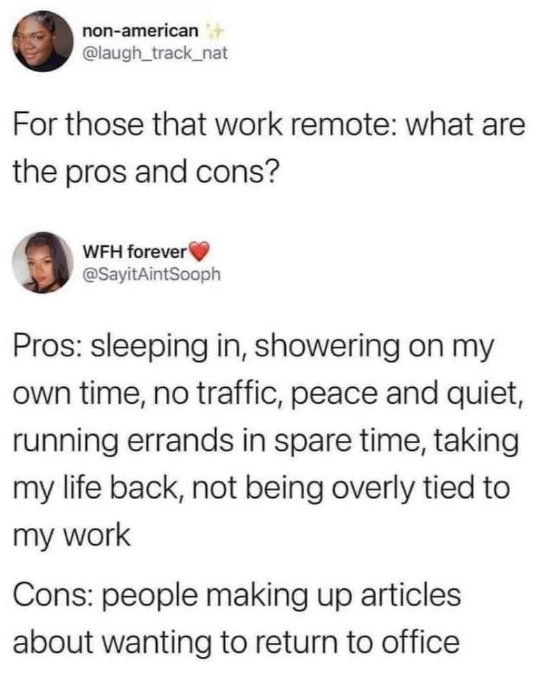 working remotely meme