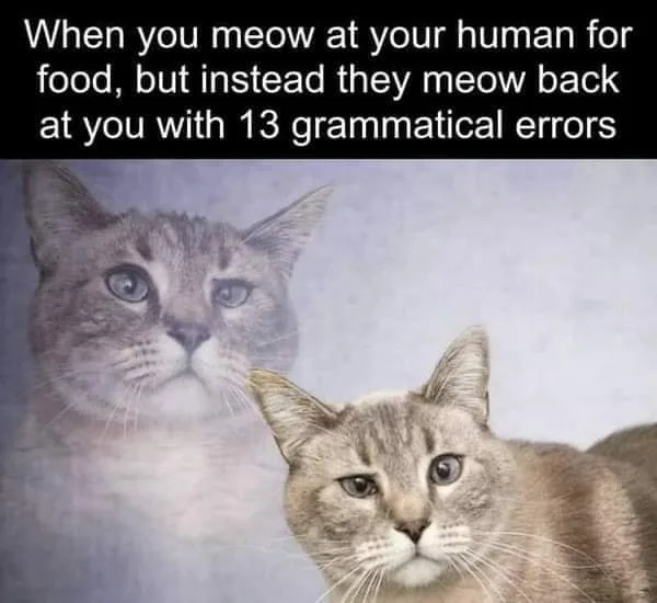 foreign language meme
