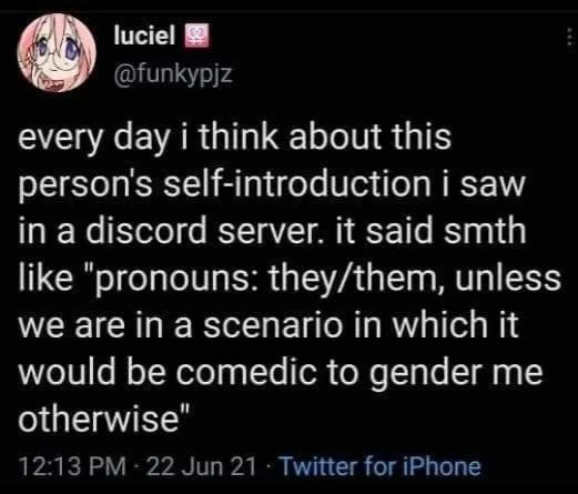 gender pronouns meme