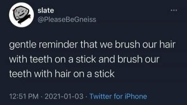 hairbrush meme