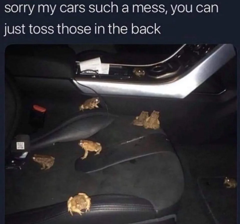 frog meme