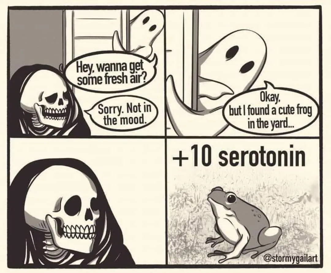 serotonin meme