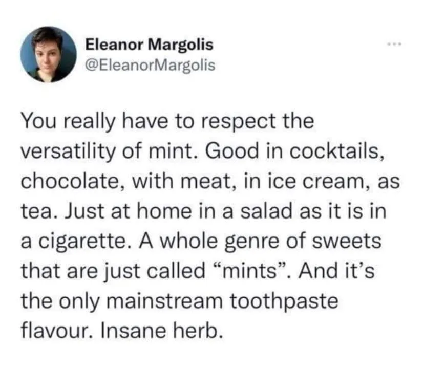 mint meme