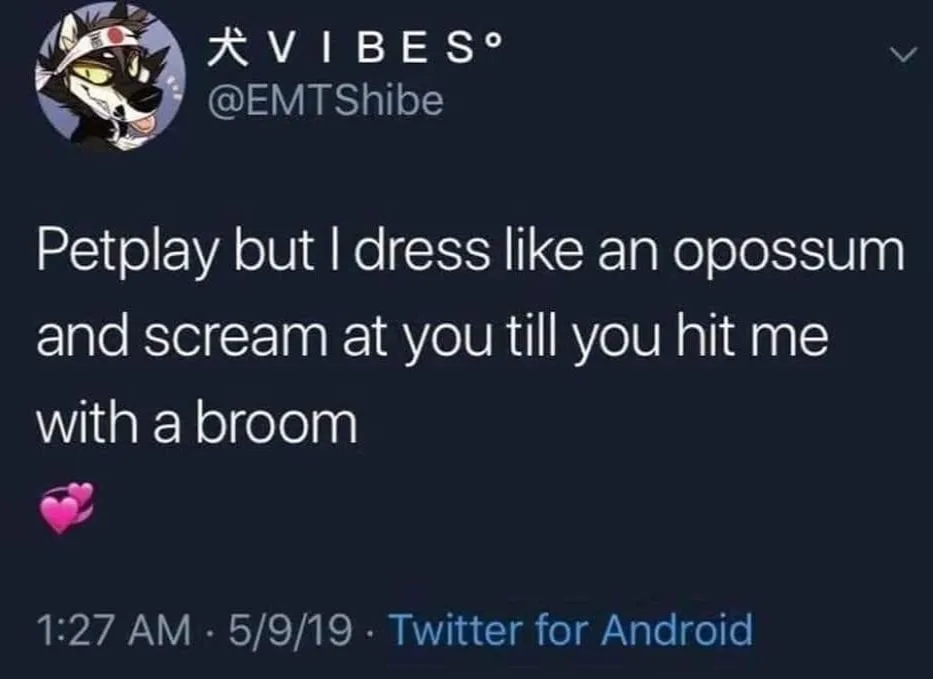 opossum meme