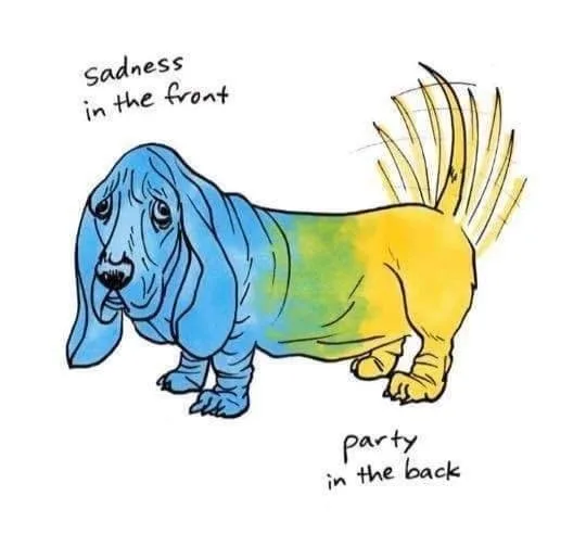 Basset Hound meme