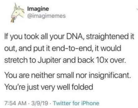 fold meme