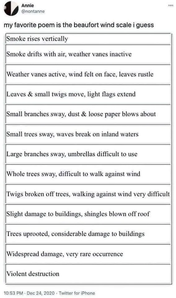 wind meme