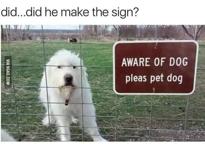 petting meme