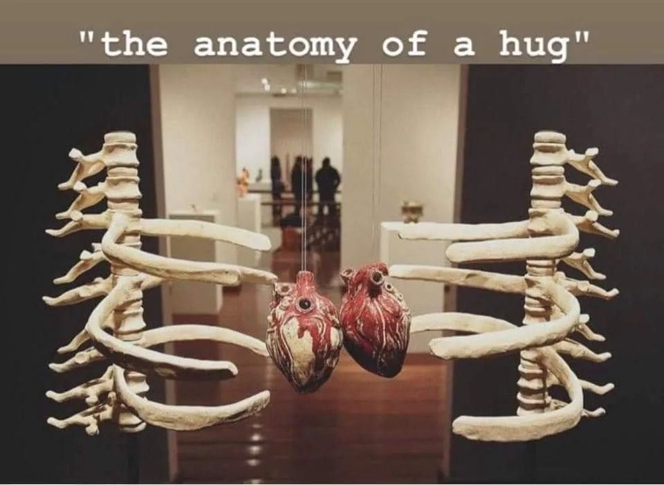 hugging meme