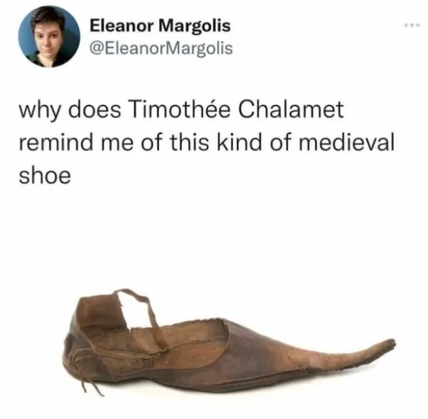 Timothee Chalamet meme
