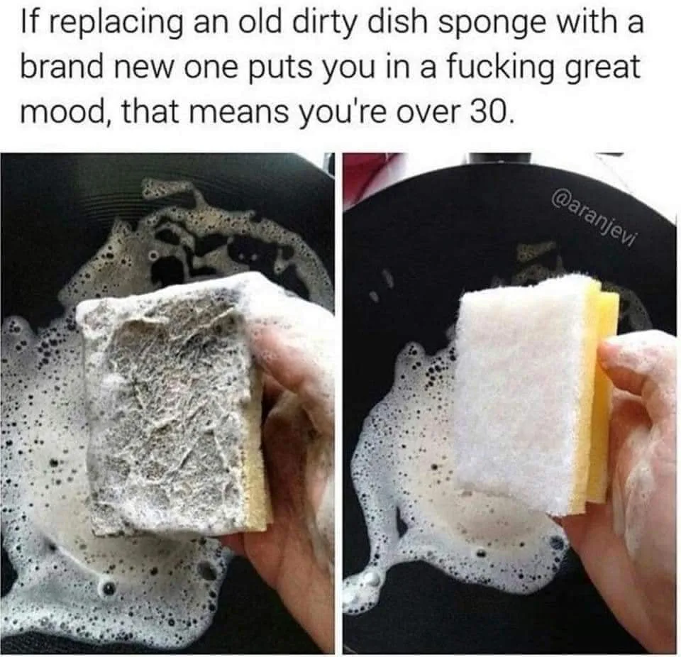 sponge meme