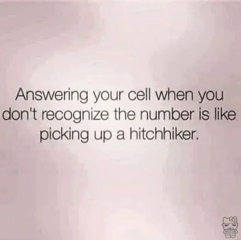 hitchhiker meme