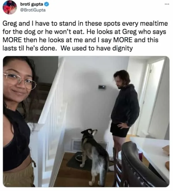 dog food meme