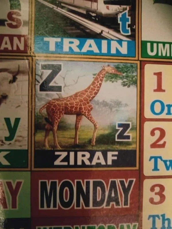 Z meme