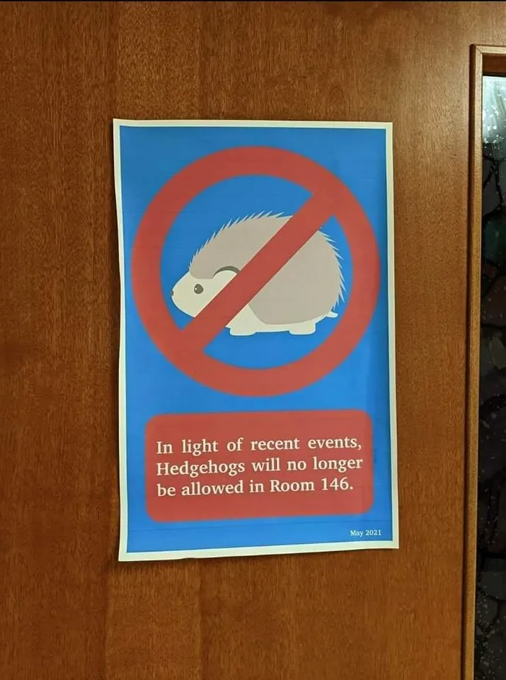 hedgehog meme