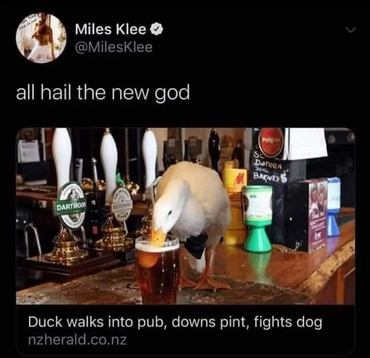 pub meme