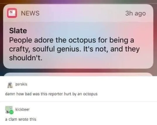 octopus meme