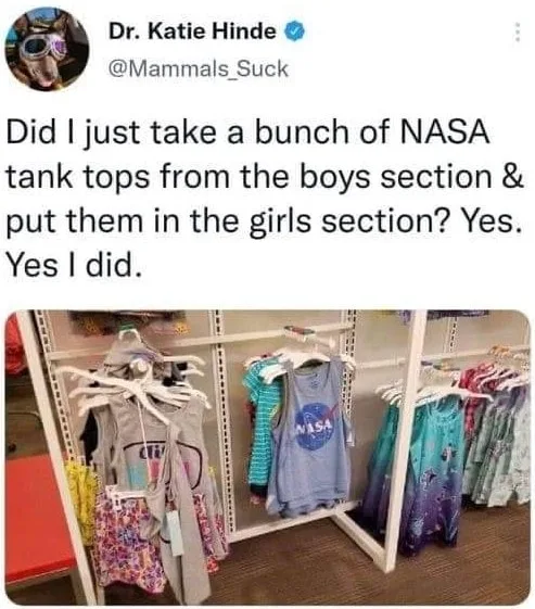 gender norm meme