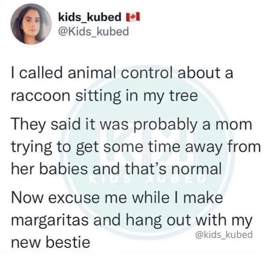 motherhood meme