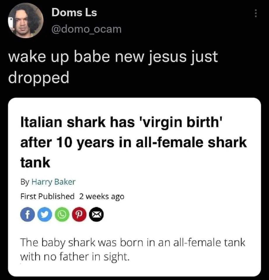virgin birth meme