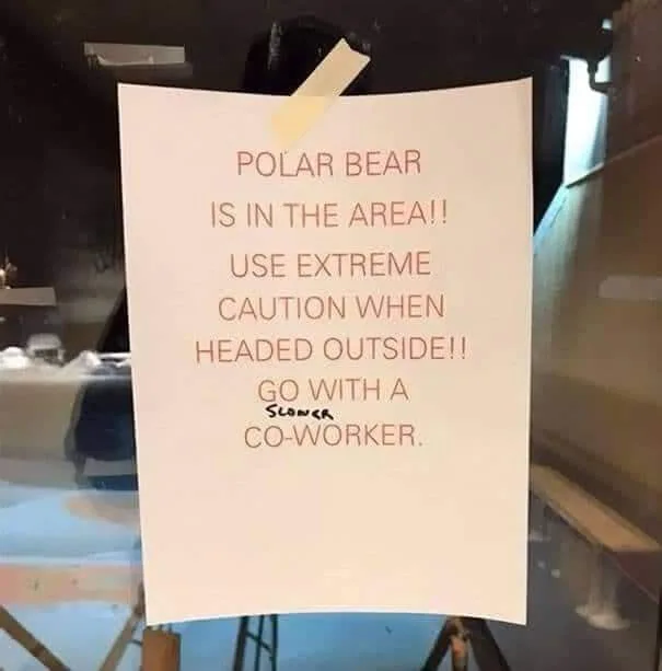 polar bear meme