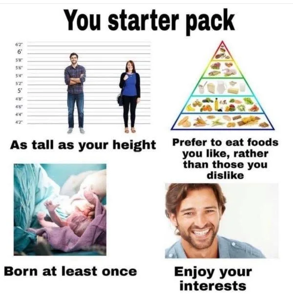 you meme