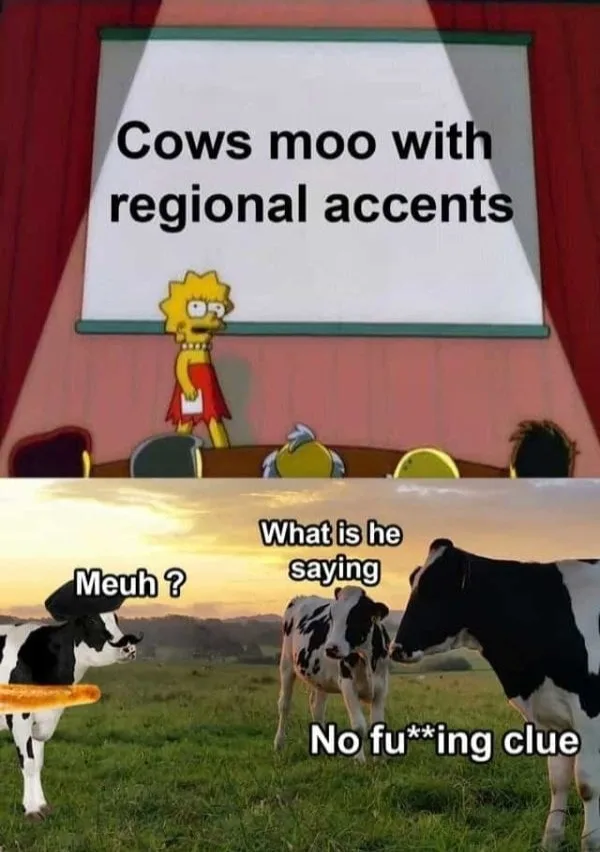 cow meme