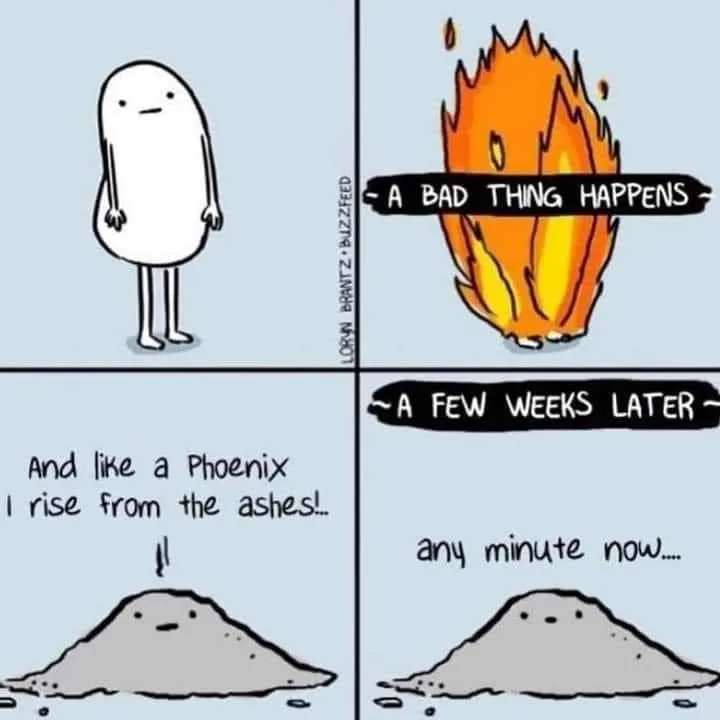 Phoenix meme