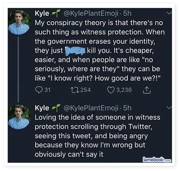 witness protection program meme
